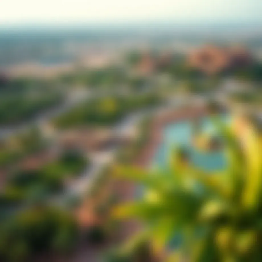 Aerial view of Al Ain oasis showcasing lush greenery amidst desert landscape