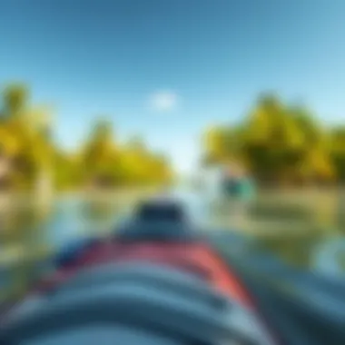 Exciting Kayaking Experience in the Mangroves Kayaking adventure in the mangroves highlighting recreational activities
