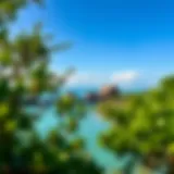 Panoramic view of Mangrove Beach showcasing lush mangroves and serene waters