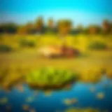 A panoramic view of Ras Al Khor Wildlife Sanctuary showcasing lush wetlands and vibrant flora.